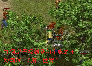 ������޼���ʥ������֮���ư�08-10�ڶ����磿