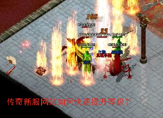 �����·���վ��ο��������ȼ���