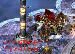 ��«���·�������ο�������ս����