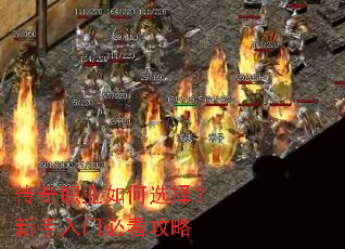 ����ְҵ���ѡ���������űؿ�����