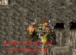 ����������ο�����������ݹ���ָ�ϱؿ�