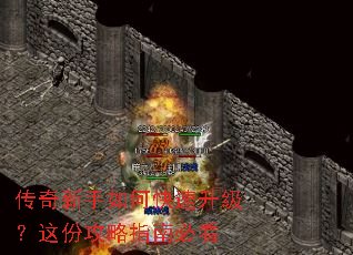 ����������ο�����������ݹ���ָ�ϱؿ�