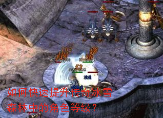 ��ο������������ѩɭ���еĽ�ɫ�ȼ���