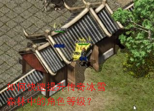 ��ο������������ѩɭ���еĽ�ɫ�ȼ���