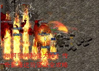 ��γ۳��귨��½�������·�������սȫ����