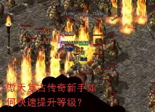 ���츴�Ŵ���������ο��������ȼ���
