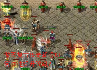 ���츴�Ŵ���������ο��������ȼ���