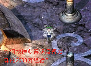 ��ο��ٻ�ó����������2000���飿