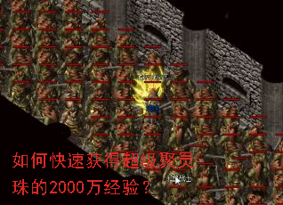��ο��ٻ�ó����������2000���飿