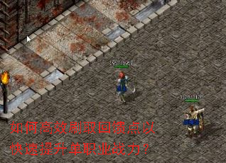 ��θ�Чˢȡ�������Կ���������ְҵս����