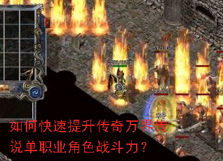 ��ο�������������紫˵��ְҵ��ɫս������