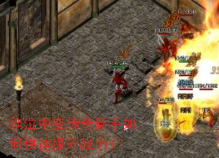 �����б䴫��������ο�������ս����