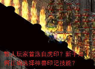 ɢ�������ѡ�׻�ӡ�����������ȷѡ������ӡ�Ǽ��ܣ�