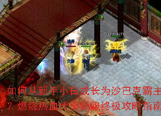 ��δ�����С�׳ɳ�Ϊɳ�Ϳ˰�����ȼ����Ѫ�����·��ռ�����ָ��