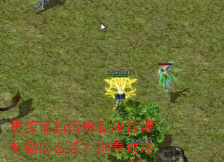 �����´����·��ױ�������ô�죿�ٿ�����