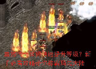 Ѫɷ������ο��������ȼ������ֱؿ����Դ���ư��귨��½