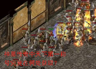 ��Ĺ���������µ�һ�ƺž����ںδ���ȡ��