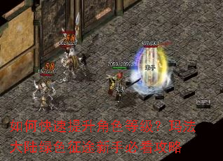 如何快速提升角色等级?玛法大陆绿色征途新手必看攻略 如何快速提升角色等级?玛法大陆绿色征途新手必看攻略