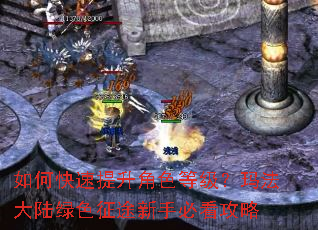 如何快速提升角色等级?玛法大陆绿色征途新手必看攻略 如何快速提升角色等级?玛法大陆绿色征途新手必看攻略