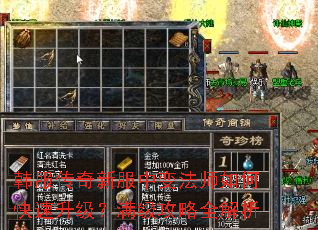 韩服传奇新服中变法师如何快速升级?满级攻略全解析 韩服传奇新服中变法师如何快速升级?满级攻略全解析