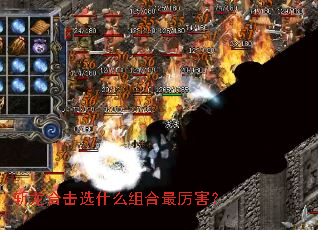 ն���ϻ�ѡʲô�����������