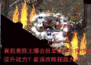 �������������Ա��ְҵ��ο�������ս������ǿ�����ؼ��󹫿�