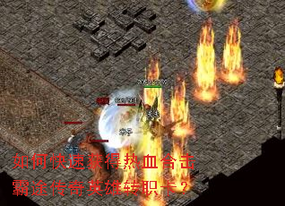 如何快速获得热血合击霸途传奇英雄转职卡? 如何快速获得热血合击霸途传奇英雄转职卡?
