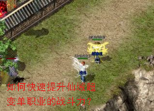 如何快速提升仙域超变单职业的战斗力? 如何快速提升仙域超变单职业的战斗力?