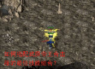 如何搭配武庚帝王合击服的最佳技能组合? 如何搭配武庚帝王合击服的最佳技能组合?