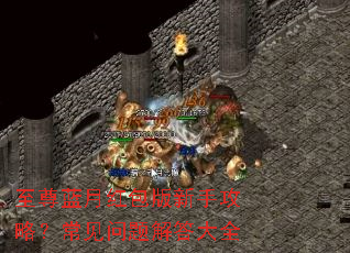 至尊蓝月红包版新手攻略?常见问题解答大全 至尊蓝月红包版新手攻略?常见问题解答大全