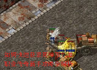 如何快速获取死神币?单职业传奇新手攻略全解析 如何快速获取死神币?单职业传奇新手攻略全解析