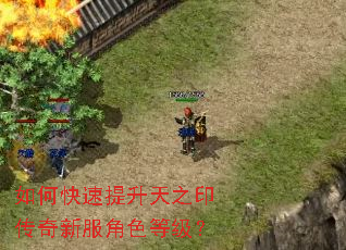 如何快速提升天之印传奇新服角色等级? 如何快速提升天之印传奇新服角色等级?