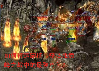 如何打造霸榜传奇私服巅峰之战中的最强角色? 如何打造霸榜传奇私服巅峰之战中的最强角色?