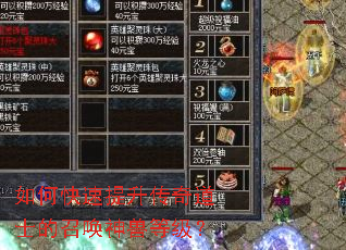 如何快速提升传奇道士的召唤神兽等级? 如何快速提升传奇道士的召唤神兽等级?