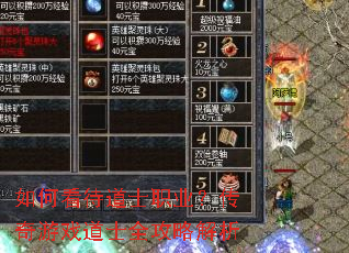 如何看待道士职业?传奇游戏道士全攻略解析 如何看待道士职业?传奇游戏道士全攻略解析