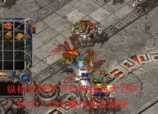 纵横武神天下乾坤秘籍大百科?新手入坑必备指南全解析 纵横武神天下乾坤秘籍大百科?新手入坑必备指南全解析
