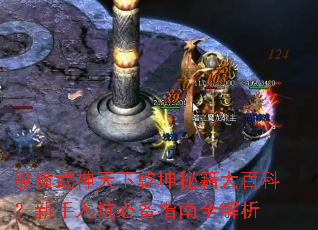 纵横武神天下乾坤秘籍大百科?新手入坑必备指南全解析 纵横武神天下乾坤秘籍大百科?新手入坑必备指南全解析