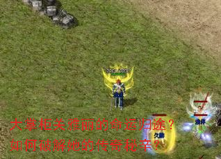 大掌柜关雅丽的命运归途?如何破解她的传奇秘辛? 大掌柜关雅丽的命运归途?如何破解她的传奇秘辛?