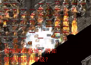 极地阴妃极地·阴如何快速提升等级? 极地阴妃极地·阴如何快速提升等级?