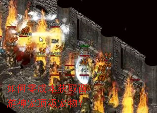 如何零成本获取西游神宠顶级宠物? 如何零成本获取西游神宠顶级宠物?