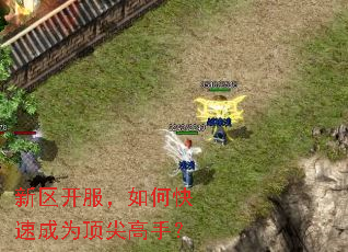 新区开服,如何快速成为顶尖高手? 新区开服,如何快速成为顶尖高手?