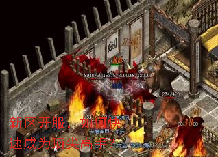 新区开服,如何快速成为顶尖高手? 新区开服,如何快速成为顶尖高手?