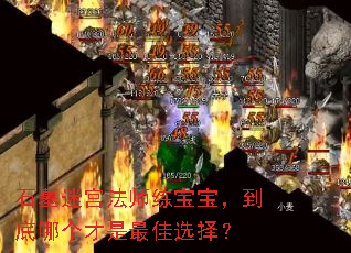 石墓迷宫法师练宝宝,到底哪个才是最佳选择? 石墓迷宫法师练宝宝,到底哪个才是最佳选择?