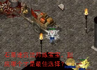 石墓迷宫法师练宝宝,到底哪个才是最佳选择? 石墓迷宫法师练宝宝,到底哪个才是最佳选择?