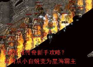 EVE私服传奇新手攻略?如何从小白蜕变为星海霸主 EVE私服传奇新手攻略?如何从小白蜕变为星海霸主
