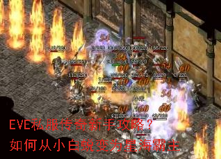 EVE私服传奇新手攻略?如何从小白蜕变为星海霸主 EVE私服传奇新手攻略?如何从小白蜕变为星海霸主