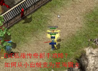 EVE私服传奇新手攻略?如何从小白蜕变为星海霸主 EVE私服传奇新手攻略?如何从小白蜕变为星海霸主