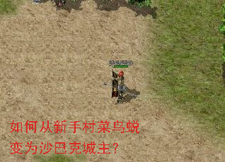 如何从新手村菜鸟蜕变为沙巴克城主? 如何从新手村菜鸟蜕变为沙巴克城主?