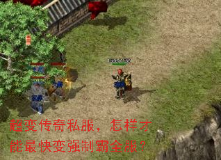 超变传奇私服,怎样才能最快变强制霸全服? 超变传奇私服,怎样才能最快变强制霸全服?