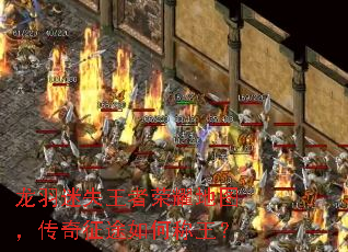龙羽迷失王者荣耀地图,传奇征途如何称王? 龙羽迷失王者荣耀地图,传奇征途如何称王?